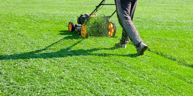 Lawn Mowing & Maintenance